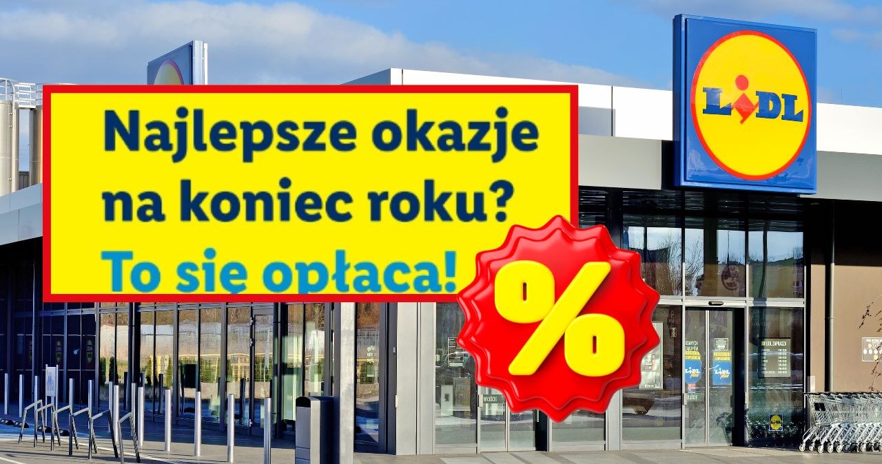 Lidl obniża ceny na koniec roku – rabaty do 50%! /CanvaPro /INTERIA.PL