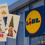 liście Lidl od czwartku wprowadza jesienne dekoracje. Takie wzory będą królować w tym sezonie