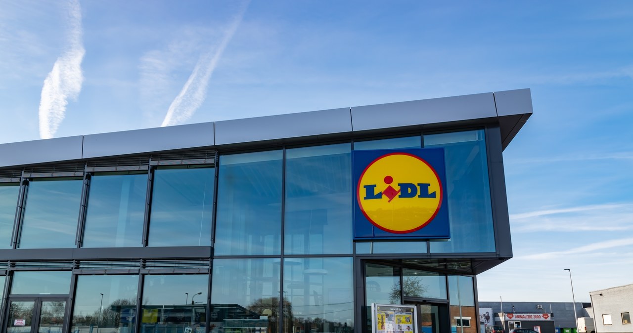 Lidl oferuje gigantyczny rabat na Cyber Monday! /adobestock /INTERIA.PL