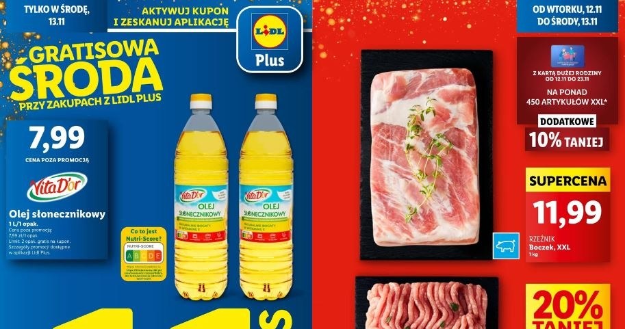 Lidl oferuje Gratisową Środę! /Lidl /INTERIA.PL