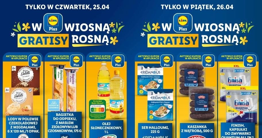 Lidl oferuje gratisowe promocje na grilla! /Lidl /INTERIA.PL