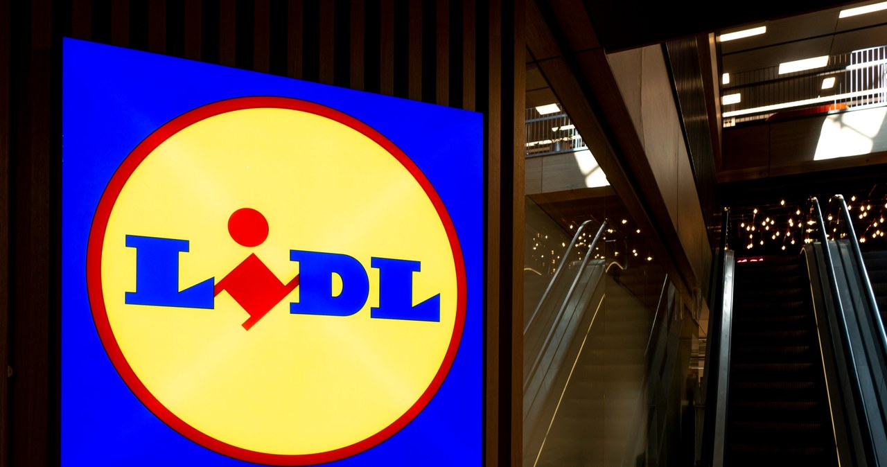 Lidl oferuje hitowy rabat! /adobestock /INTERIA.PL