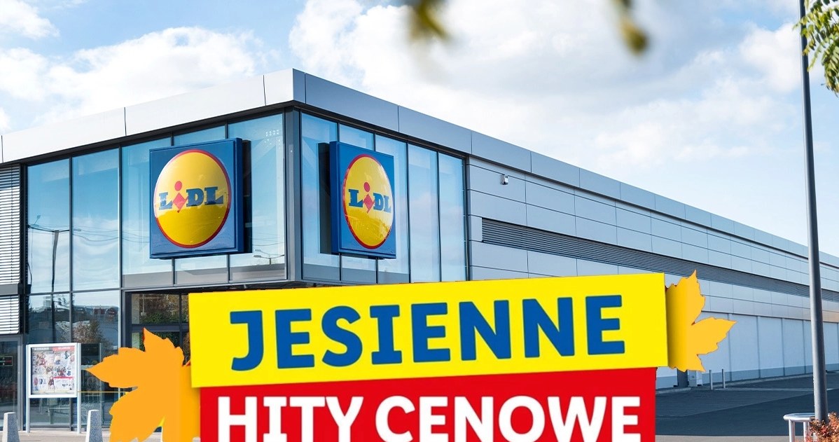 Lidl oferuje jesienne hity cenowe /adobestock /INTERIA.PL