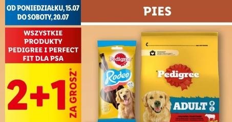 Lidl oferuje karmy dla psów z 1 grosz! /Lidl /INTERIA.PL