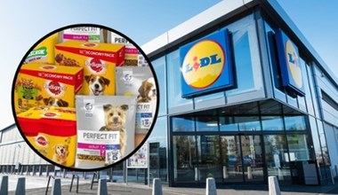 Lidl oferuje karmy dla psów za 1 grosz! Niewiarygodna akcja promocyjna już ruszyła