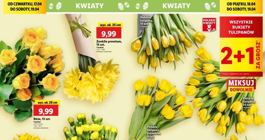 Lidl oferuje kwiaty na Wielkanoc! /Lidl /INTERIA.PL