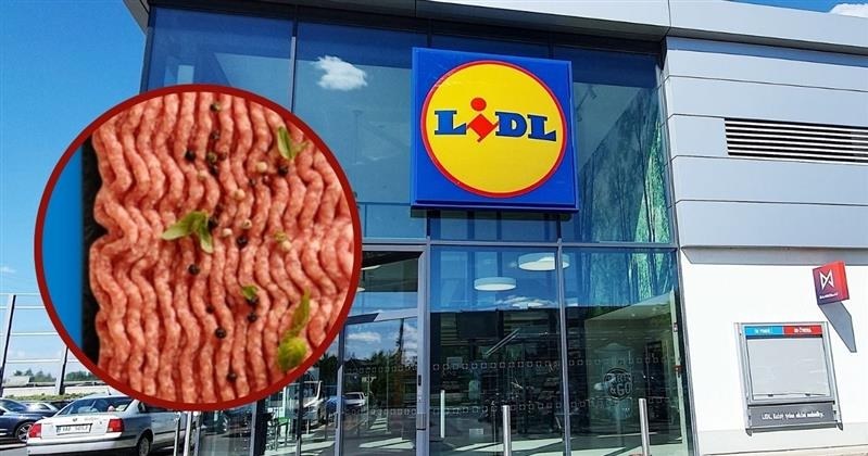 Lidl oferuje mięso mielone za darmo! /adobestock/Lidl /INTERIA.PL