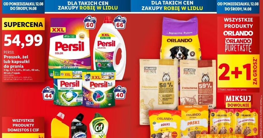 Lidl oferuje nowe promocje! /Lidl /INTERIA.PL