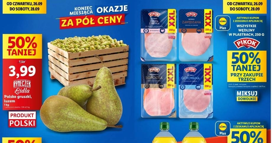 Lidl oferuje nowe promocje! /Lidl /INTERIA.PL