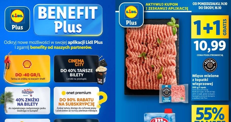 Lidl oferuje nowe promocje! /Lidl /INTERIA.PL