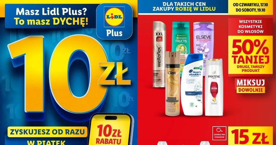 Lidl oferuje nowe promocje! /Lidl /INTERIA.PL