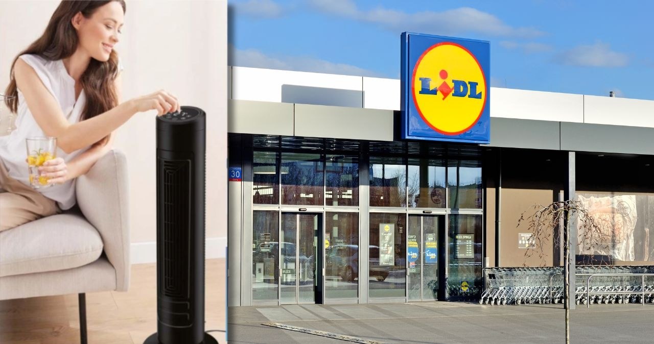 Lidl oferuje popularny wentylator za 79 zł! /adobestock/Lidl /INTERIA.PL