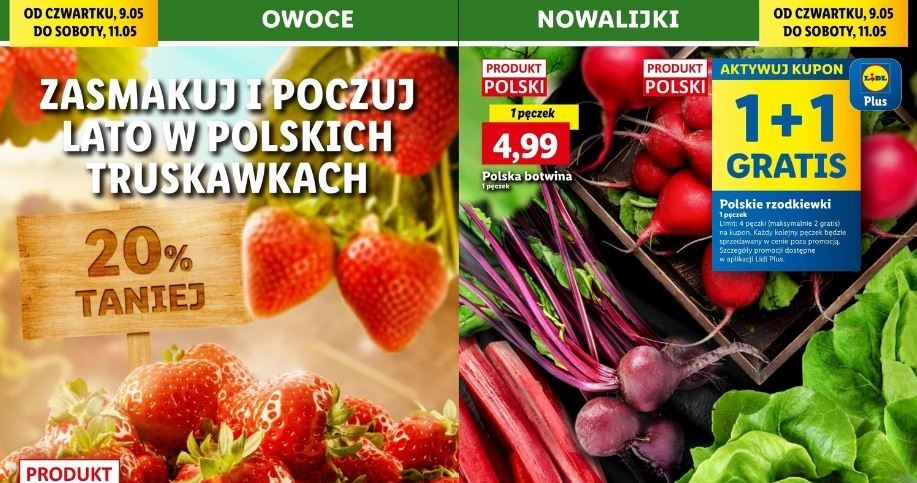 Lidl oferuje promocje na owoce i warzywa! /Lidl /INTERIA.PL