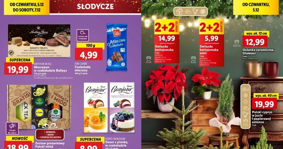 Lidl oferuje świąteczne promocje! /Lidl /INTERIA.PL