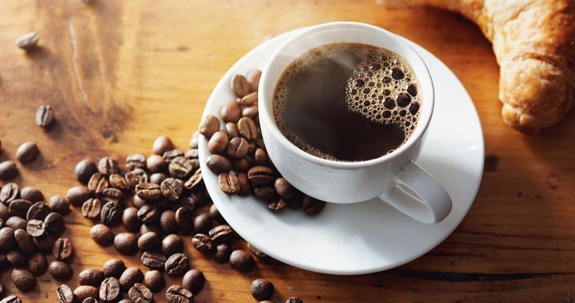Lidl oferuje w gratisie kawę Lavazza! /adobestock /INTERIA.PL