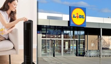 Lidl oferuje w promocji hitowy wentylator na upały. Kosztuje tylko 79 zł!