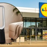 Lidl przecenia hit na lato! Wentylatory bezłopatkowe znów w sprzedaży