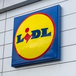 Lidl przecenia produkty do ogrodu aż o 50%! W promocji pojawiły się narzędzia Parkside!