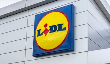 Lidl przecenia produkty do ogrodu aż o 50%! W promocji pojawiły się narzędzia Parkside!