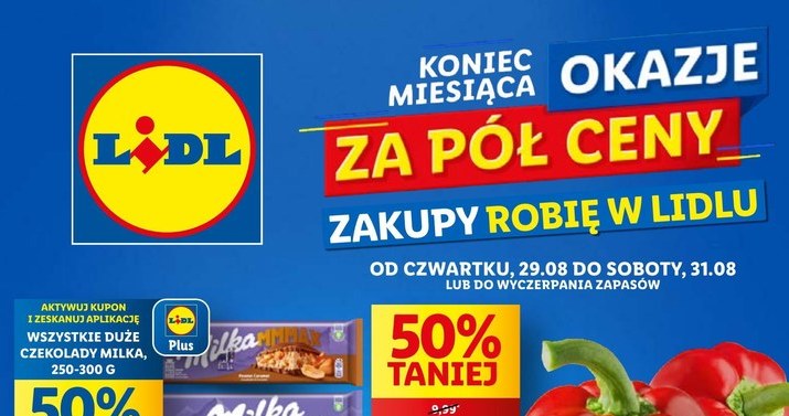 Lidl przecenia produkty o 50%! /Lidl /INTERIA.PL