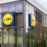 Lidl rozpoczął sezon na nowalijki! Ile zapłacimy za polskie warzywa i owoce? 