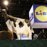 Lidl rusza na podbój Francji