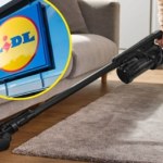 Lidl rusza z akcją sprzątanie. Sprzęty SilverCrest i Vileda w promocji