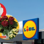 Lidl ruszył z wielką promocją! 8 w cenie 4 i 3+1 za grosz – sprawdź, co dostaniesz!