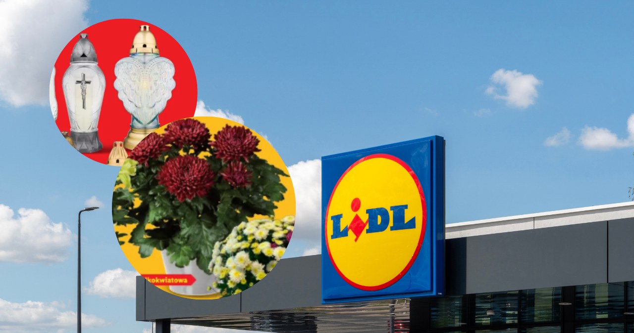 Lidl ruszył z wielką promocją! 8 w cenie 4 i 3+1 za grosz – sprawdź, co dostaniesz! /Canva Pro /INTERIA.PL