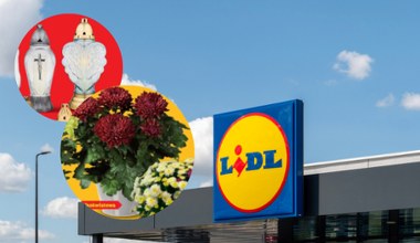 Lidl ruszył z wielką promocją! 8 w cenie 4 i 3+1 za grosz – sprawdź, co dostaniesz!