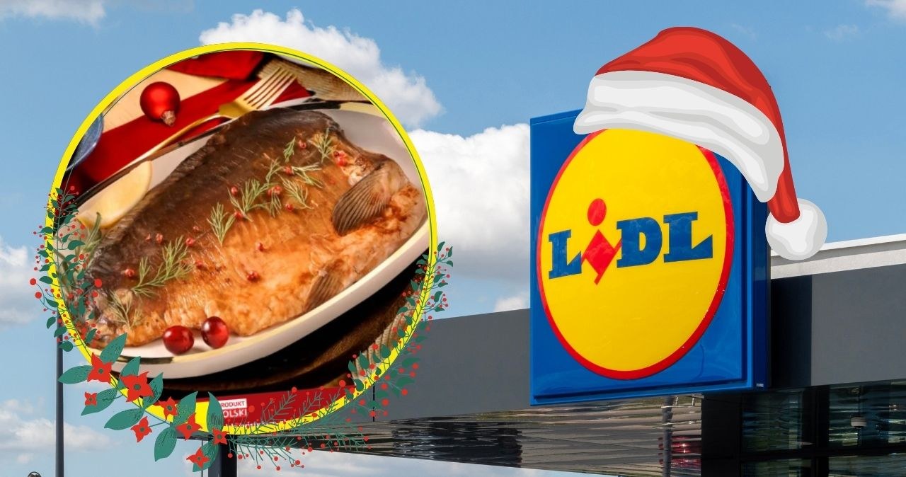 Lidl szokuje cenami na święta! Karp za 2,89 zł, pierogi XXL, śledzie 50% taniej /Lidl /INTERIA.PL