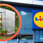 Lidl szykuje ogrodowe hity. Parkside wraca z dużą ofertą już od poniedziałku