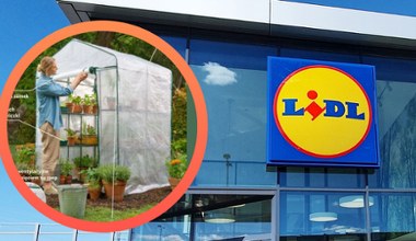 Lidl szykuje ogrodowe hity. Parkside wraca z dużą ofertą już od poniedziałku