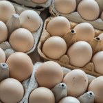 Lidl wycofuje je ze wszystkich sklepów. Polacy ich nie chcą