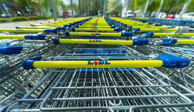 Lidl zaskakuje promocjami na walizki Wittchen! Okazje cenowe pozwolą zaoszczędzić kilkadziesiąt złotych!