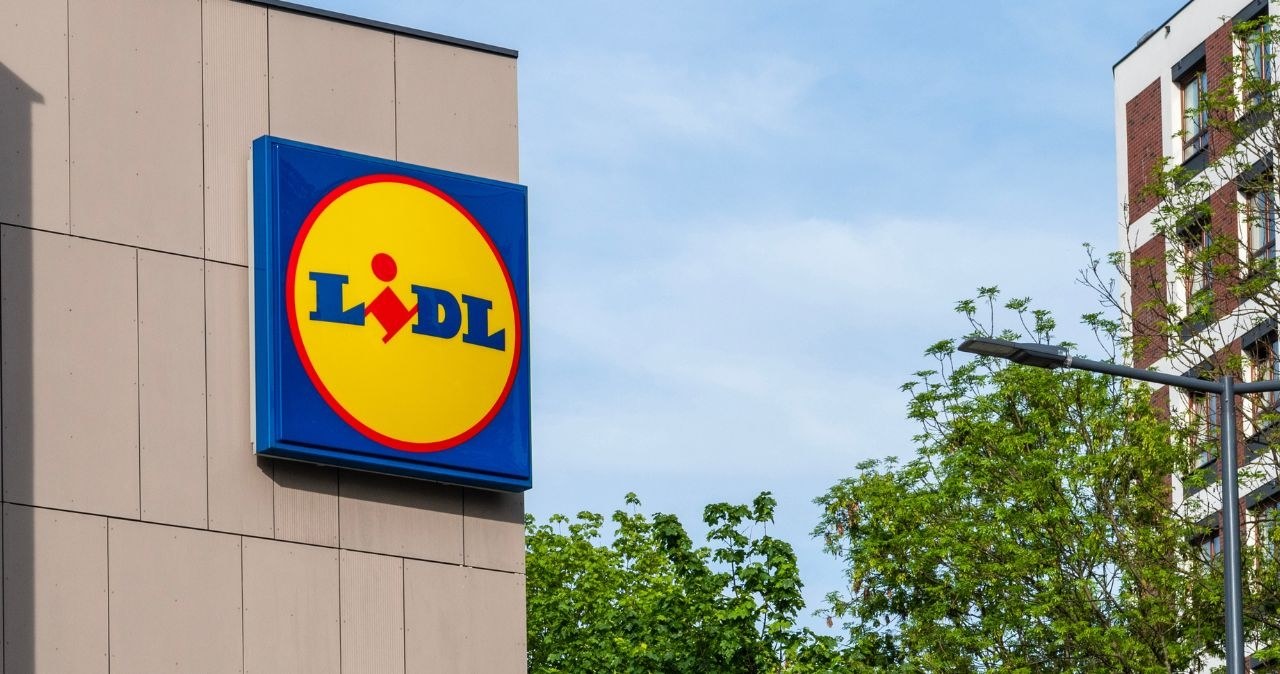 Lidl /adobestock /INTERIA.PL