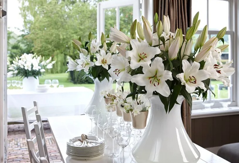 Lilie to efektowne rośliny, słynące z pięknych kwiatów. Co zrobić, by możliwie jak najdłużej przetrwały w wazonie? /Pixel