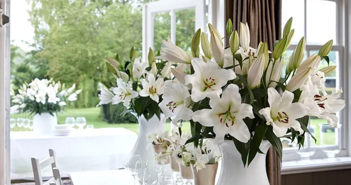 Lilie to efektowne rośliny, słynące z pięknych kwiatów. Co zrobić, by możliwie jak najdłużej przetrwały w wazonie? /Pixel