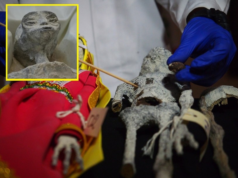 Lima – eksperci wykluczają pozaziemskie pochodzenie mumii /Rex Features/EAST NEWS /East News