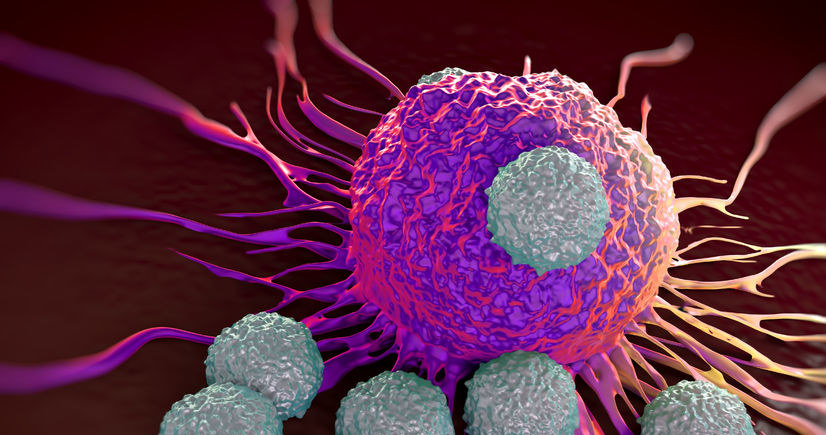 Limfocyty atakujące nowotwór /123RF/PICSEL