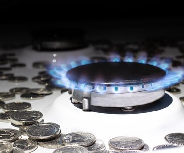 Limit cen gazu sukcesem? Ekonomistka ostrzega przed negatywnymi skutkami