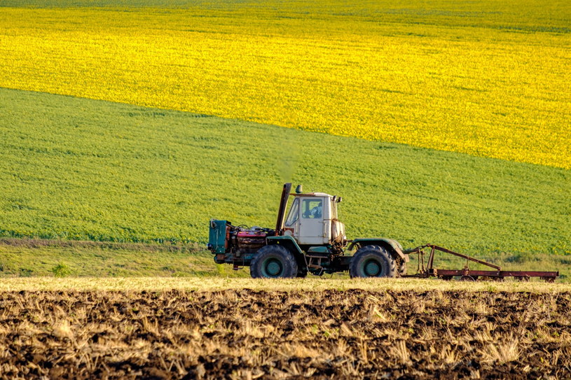 Limit dla rolników został zamrożony na wyższym poziomie niż m.in. odbiorców zamieszczających gospodarstwa domowe /123RF/PICSEL