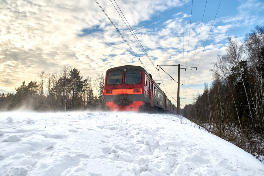 ​Drzewa usunięte. Po pięciu dniach przerwy pociągi wracają