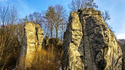 Linia kolejowa przez Dolinki Krakowskie i Pustynię Błędowską? Mieszkańcy protestują     