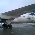 Linie lotnicze z Polski, Japonii i Etiopii wystąpią do Boeinga o rekompensaty