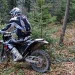 Linki między drzewami w lesie - co grozi walczącym z motocyklistami