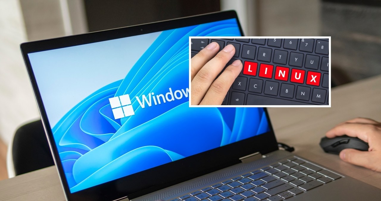 Linux lepszy do gier niż Windows 11? Trzy wersje, które mogą Was zadziwić /123RF/PICSEL