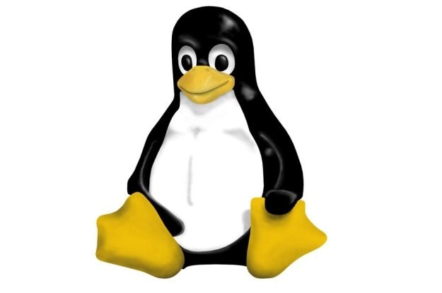 Linux także nie jest wolny od luk umożliwiających ataki /materiały prasowe