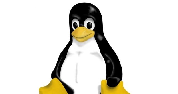 Linux także nie jest wolny od luk umożliwiających ataki /materiały prasowe
