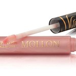 Lip Gloss Fall in Love Mollon Cosmetics